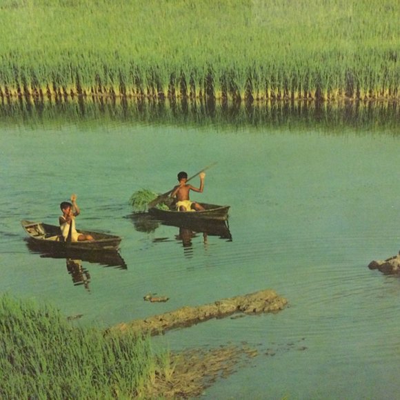 Solid Wood framed landscape print on board wall hanging grassland river boating - Picture 5 of 10